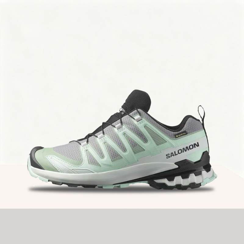 Salomon Shoes Xa Pro 3D - 살로몬 XA 프로 3D V9 GTX: